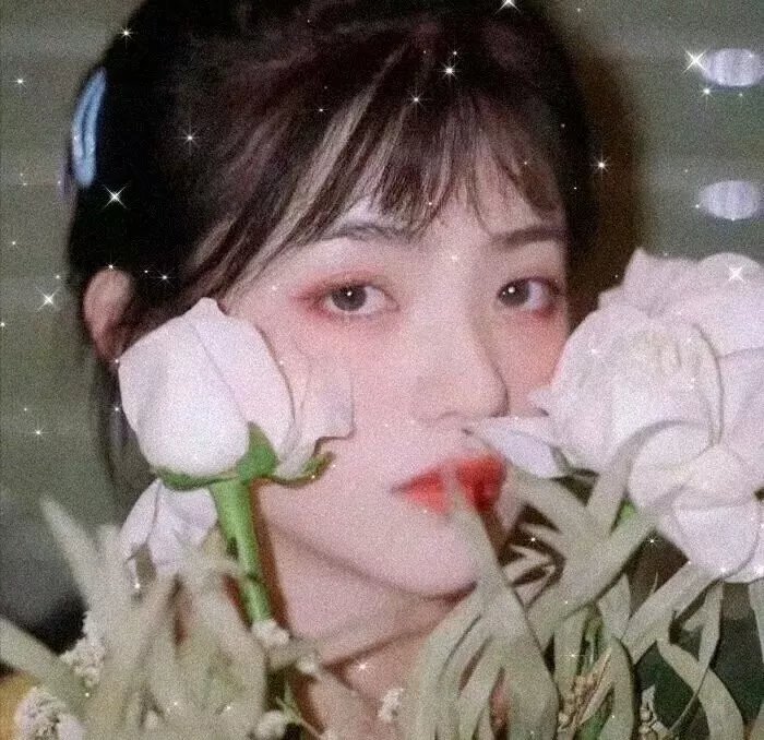 孤鸾慈泪
